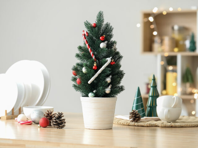 How to Transform Your Apartment for the Holiday Season